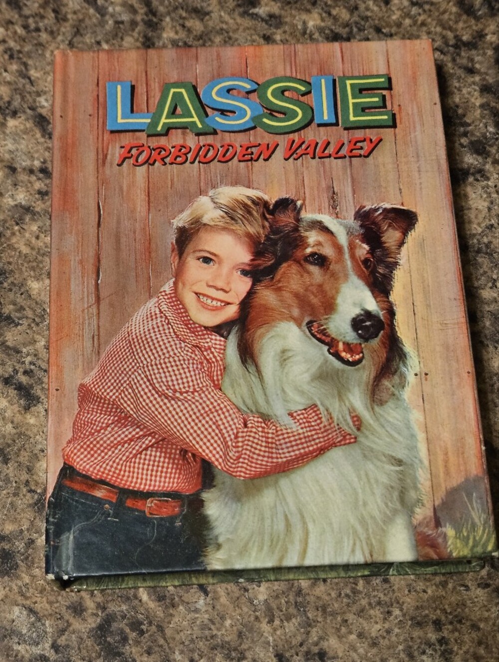 Vintage Hardcover Lassie: Forbidden Valley